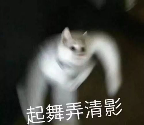  放射能nengnight来演出和看演出的人都是真有能耐