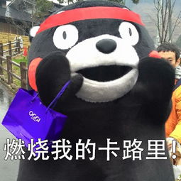  燃烧我的卡路里是什么梗燃烧我的卡路里出处介绍