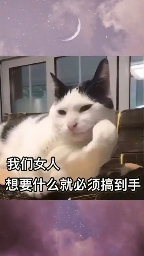  百万网友赐神评甜甜的恋爱表情包小可爱已上线