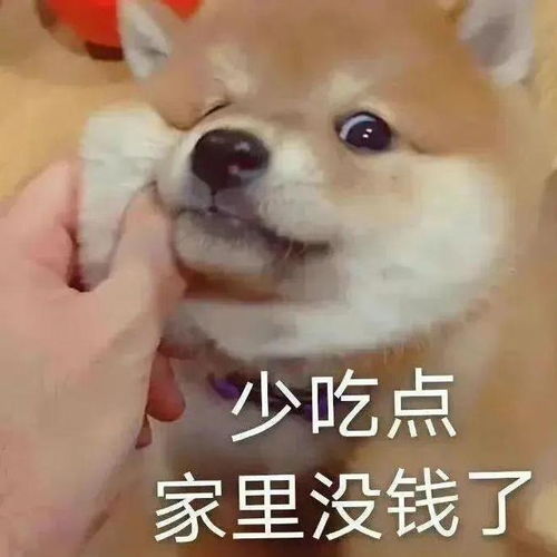 定了今晚,北京上调