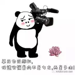  搞笑多肉表情包分享