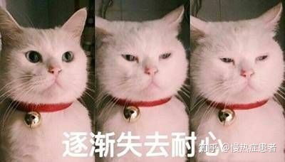  请问青春有你最终的九人团会是那九个人会比较合适