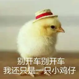  论做鸡,有谁不服广东人