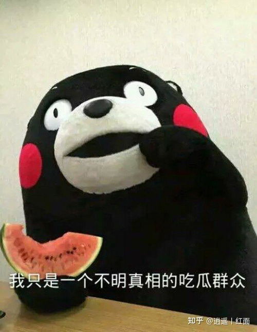 微信吃瓜表情包是什么意
