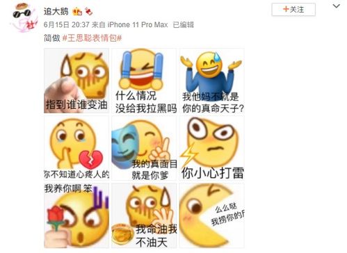  上头王思聪聊天记录里的表情包,雅思考生看了直呼内行...