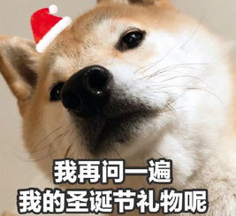 二哈表情包原型礼物