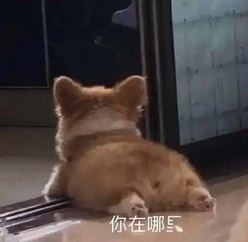  申请加入你的被窝
