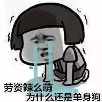  表情包
