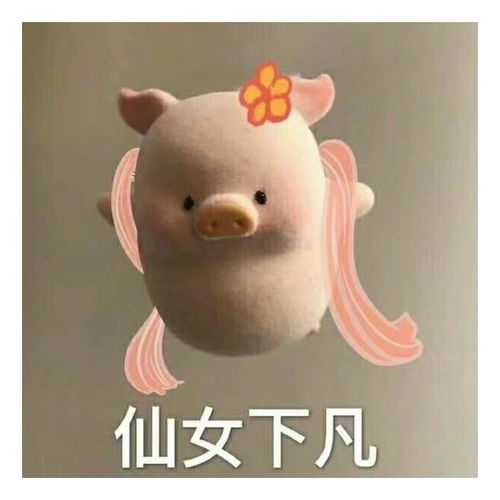  表情包一组有趣的表情包52期