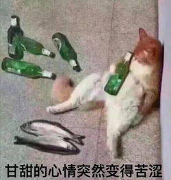  分享一波爆笑表情包最后一张可以说是很形象了