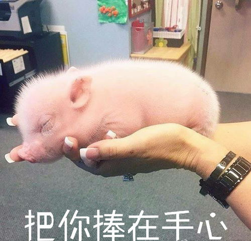  广州人挺住史上最难熬的一个月来临,千万要做好准备