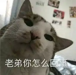  起床第一眼看到什么最幸福当然是代金券