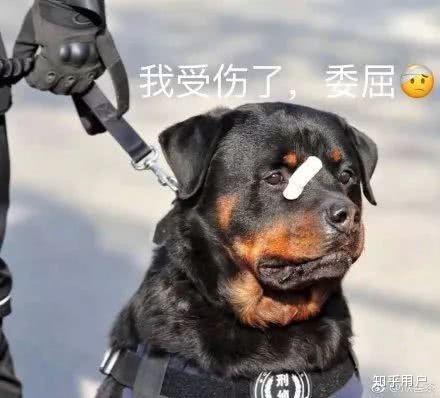  打老婆有了第一次就一定以后还会有么
