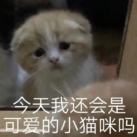  喵星人汪星人委屈表情包
