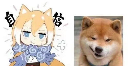  当表情帝柴犬拟人后会怎样网友看完这6张图忽然想养一条狗