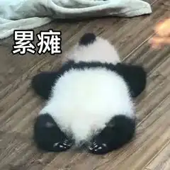  小白的学习之路数组和排序