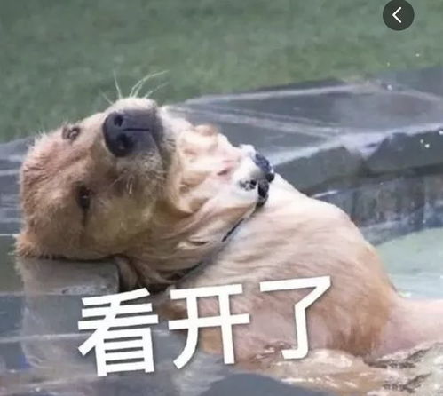  预警预警天津最新发布请所有天津人下班尽快回家