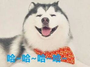  开学了海大的研究生们,欢迎回来