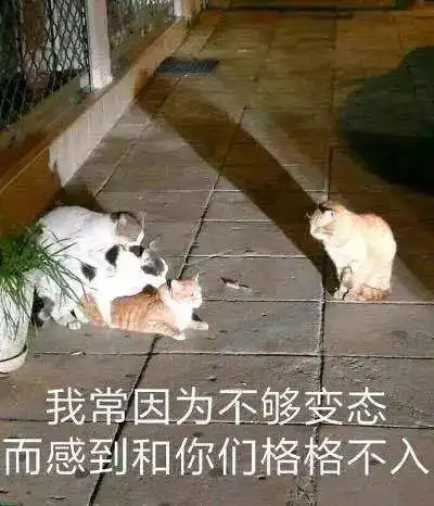  票票指北丨wtf级邪典神剧情大型表演车祸现场,年度压轴武林怪兽究竟有多烂