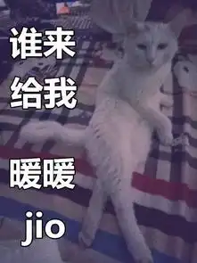  这是两张百搭的猫咪表情包,你能想到什么好玩的话来配