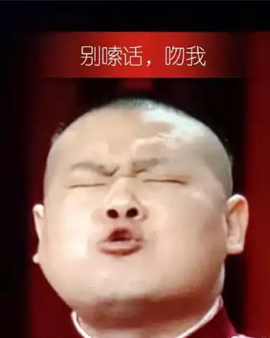  揽胜极光