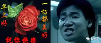 流量暴发户诞生迷思审蠢时代的自毁式营销还有多久的保质期
