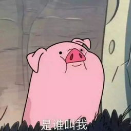  笑笑活捉斗鱼超管锁人气行为,德云色即将成为过气主播