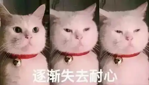  小微企业贷款,找建行惠懂你