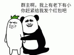  我的群主被抓了,你的群主还好吗