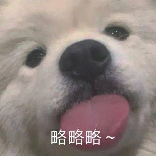  好玩搞怪个性表情包