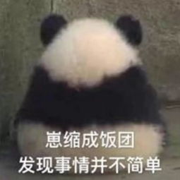  dk旋律春天,太师人都病得不轻