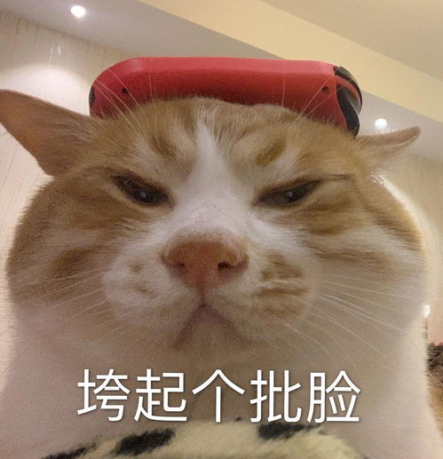  说唱听我的第二期吐槽剧透
