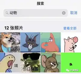  iphone5s67...用户赶紧看,你的手机发生大变化有个新功能上了热搜