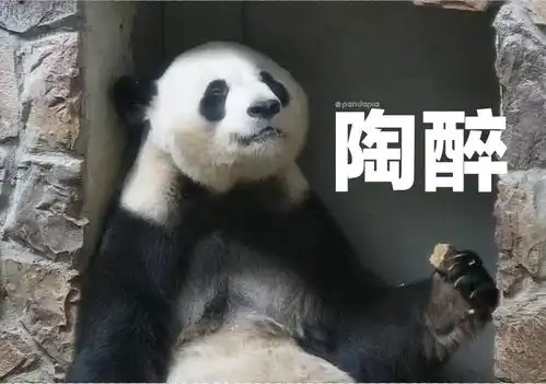  永浜一个懒懒的表情包素材库