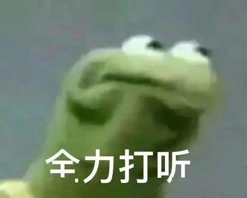  老牌进口粮再度营业,当家花旦幼猫粮实测蛋白超高
