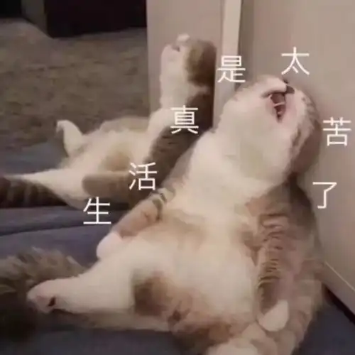  今天,我是要选择脱贫呢还是脱单呢