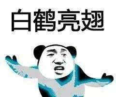  抖音武功秘籍我将毕生武功全都传给你熊猫头无水印表情包