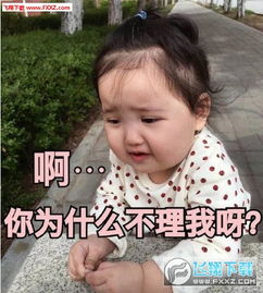  微信小刚几表情图片带文字版下载小刚几表情包无水印版下载飞翔下载