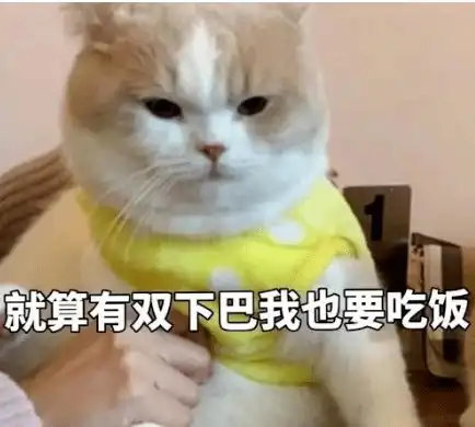  猫你长了10斤肉,凭什么赖我
