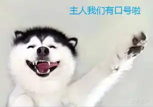  如何评价iu的手滑事件