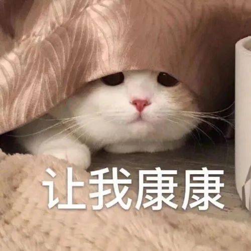 小坏蛋表情包说天气