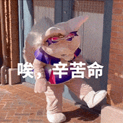  每日沙雕表情包