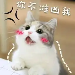  求这个猫表情包原图