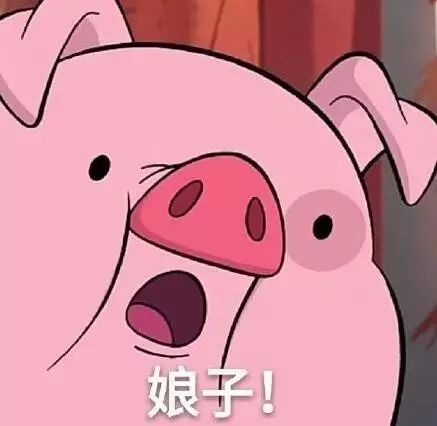  六盘水一司机被查,谎称接电话竟逃跑人和人之间的信任呢
