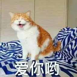 西伯利亚鼯鼠表情包表情