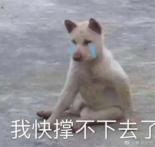  如何评价斗破苍穹