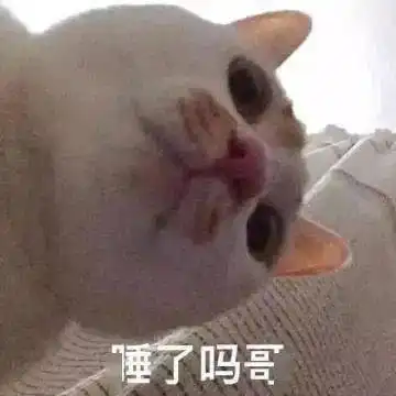 加微信的表情包晚安