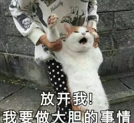  黑暗料理巅峰是草莓的堕落还是螺蛳粉的沦丧