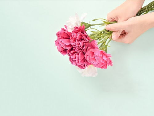  趣味测试买一束鲜花送给他,测你的清纯程度准的不能再准了