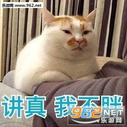  嫌弃我了懂了表情包亲亲可爱的自己猪图片表情包下载乐游网游戏下载